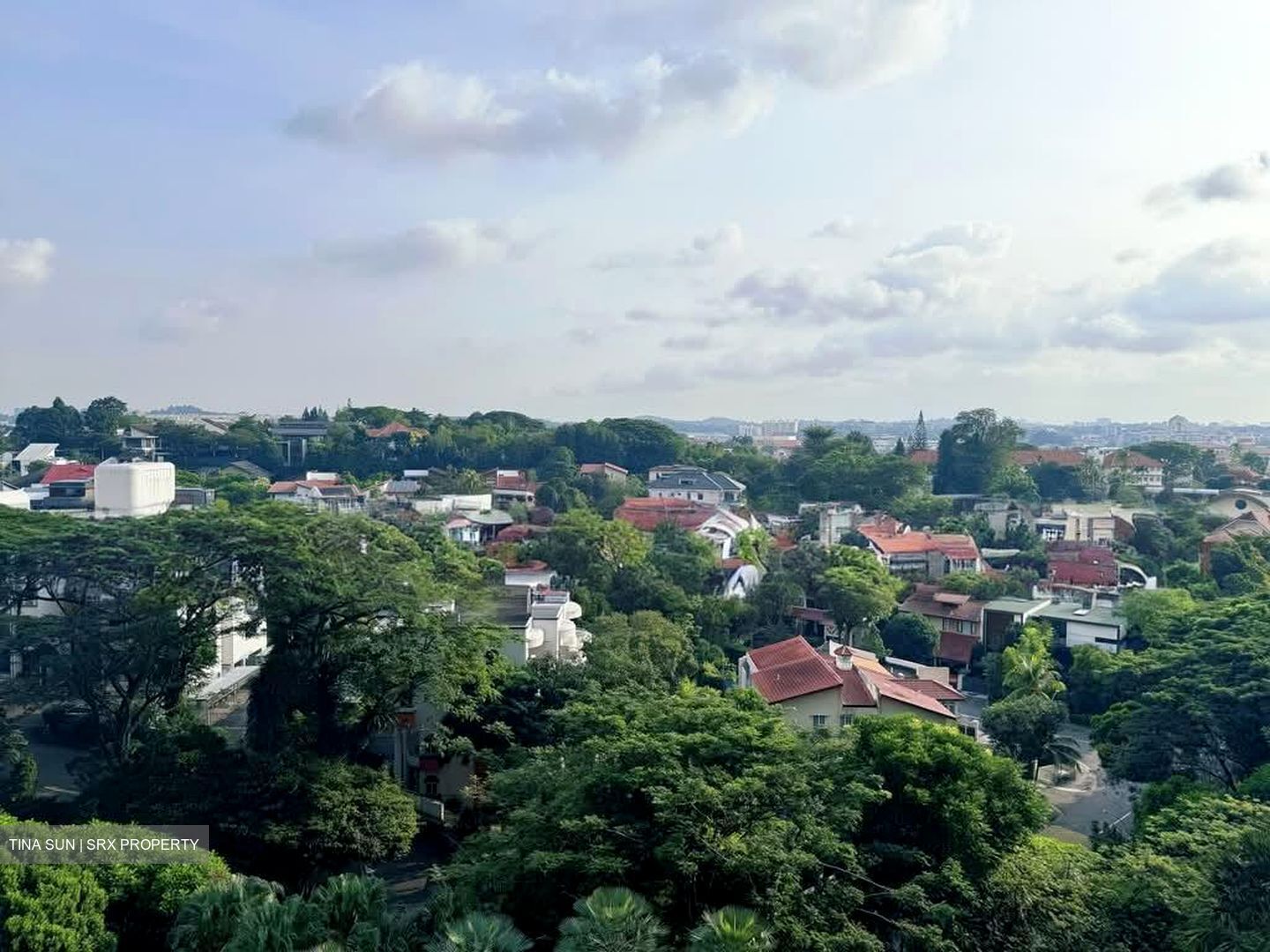 D'Leedon (D10), Condominium #597792921